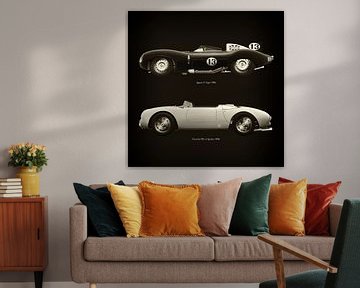 Jaguar D Type 1956 en Porsche 550-A Spyder 1956 van Jan Keteleer
