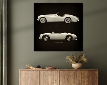 Jaguar XK-120 1954 en Porsche 550-A Spyder 1956 van Jan Keteleer