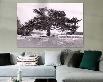 Baum in der verschneiten Landschaft von Michar Peppenster