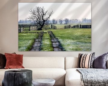 Nederlands polderlandschap met hekken, een rare boom en een spoor ernaartoe van Peter de Kievith Fotografie