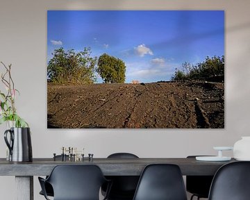 Building site after demolition of a house