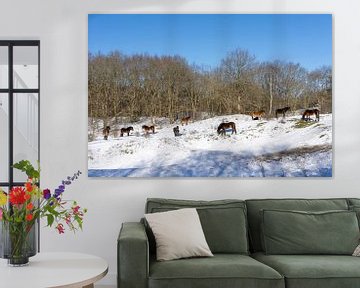 Wilde paarden in de sneeuw van Barbara Brolsma