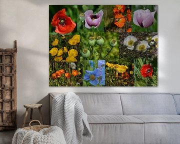 Klaproos bloemen collage van Iris Heuer