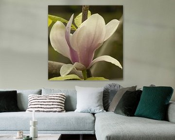 Magnolia bloem van Bargo Kunst