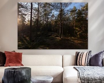 Bos midden in Zweden van Fabio Holkema