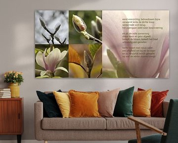 Magnolia in alle seizoenen by Bargo Kunst