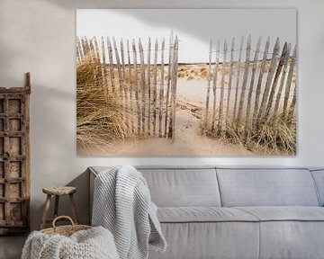 Dunes in the Westduinpark in Scheveningen by Anne Zwagers