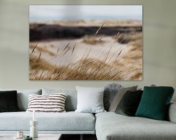 Les dunes du Westduinpark à Scheveningen sur Anne Zwagers