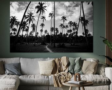 Palmbomen contrast in Frans Polynesië - Zwart wit reisfotografie van Freya Broos