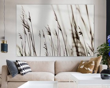 Dune grasses in the Westduin Park in Scheveningen by Anne Zwagers