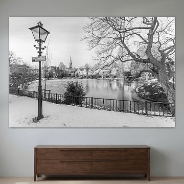 Der Teich in Rotterdam Kralingen vom Vijverweg aus gesehen von MS Fotografie | Marc van der Stelt