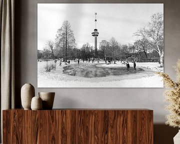 Winter in the Park near the Euromast in Rotterdam by MS Fotografie | Marc van der Stelt