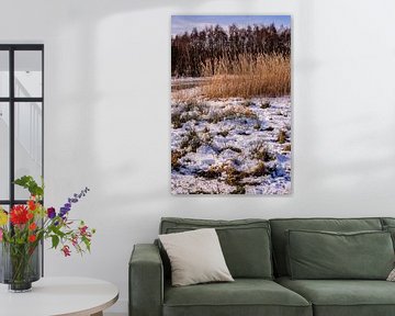 Winter & Sneeuw Oud Verlaat - Landschap nr. 3 van Deborah de Meijer