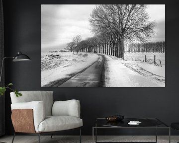 Monochromes Bild einer Landstraße in einer niederländischen Winterlandschaft