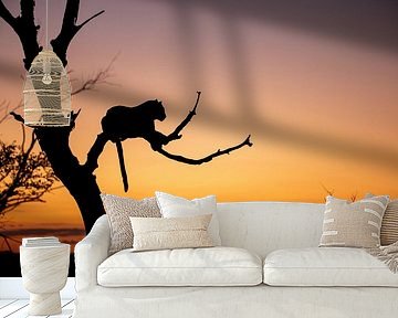 LP 71337223 Silhouette of a Leopard