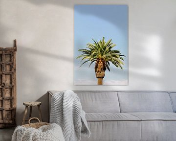 Palm tree | USA | Travel photography | Summertime by Mirjam Broekhof