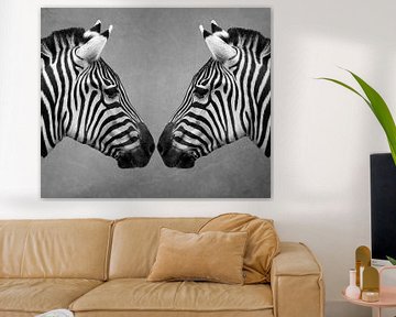 Nahaufnahme von zwei Zebras in Schwarz-Weiß