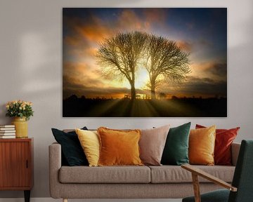 Sonnenaufgang Bäume im Naturschutzgebiet Lentevreugd von Wim van Beelen