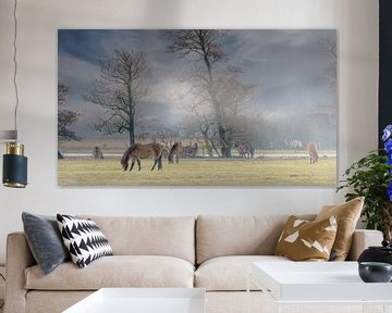 Exmoorpony`s  in de weide 14. van Marcel Kieffer