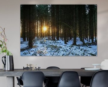 Zonsondergang in winters bos (Nederland) van Marcel Kerdijk