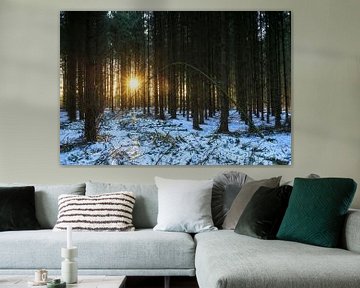 Zonsondergang in winters bos (Nederland) van Marcel Kerdijk
