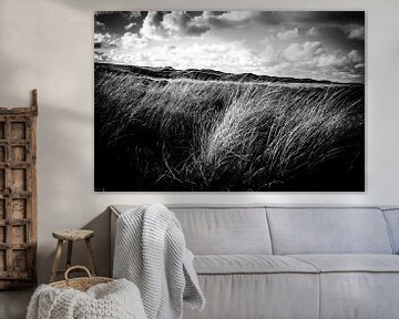 Callantsoog | Dune ondulante en noir et blanc | Photographie de nature