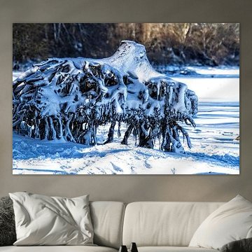 Uprooted and encysted