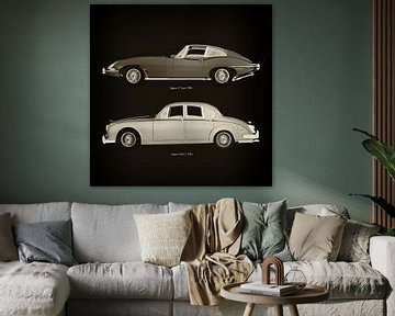 Jaguar E Type 1960 en Jaguar MK-2 1963 van Jan Keteleer