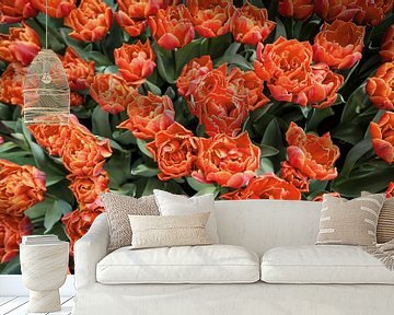 Veld vol tulpen van bovenaf van Evelien Oerlemans