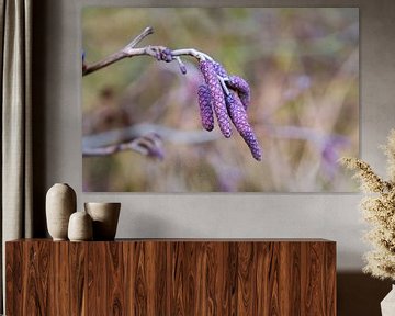 Purple plumes on a branch by Consala van  der Griend