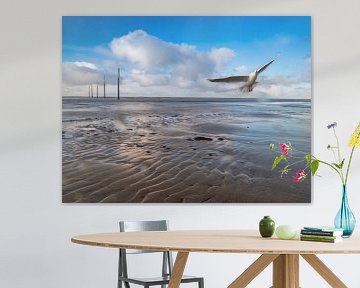 Wadden Sea at the North Sea with seagull by Animaflora PicsStock