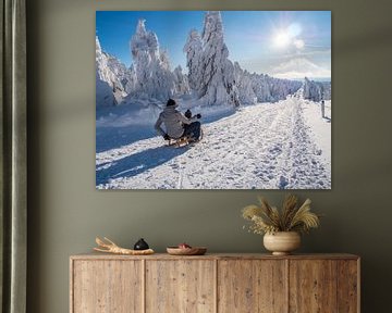 Faire du toboggan dans les monts Métallifères sur le Fichtelberg sur Animaflora PicsStock