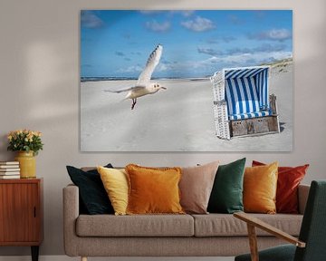 Strandkorb mit Möwe auf Sylt an der Nordsee von Animaflora PicsStock