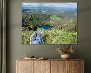 Uitzicht op de Feldsee in het Zwarte Woud van Animaflora PicsStock