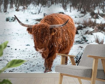 Besneeuwde Schotse Hooglander van Marcel Kool