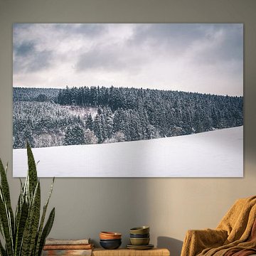 Winterlandschaft mit schneebedeckten Tannenbäumen in Bütgenbach