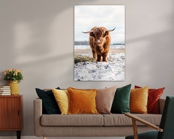 Schotse Hooglander koe in de sneeuw verticaal front van KB Design & Photography (Karen Brouwer)