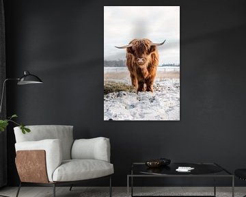 Schotse Hooglander koe in de sneeuw verticaal front van KB Design & Photography (Karen Brouwer)