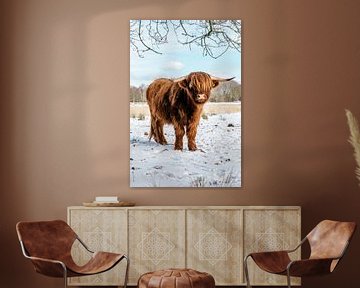 Schotse hooglander koe in de sneeuw vertikaal van KB Design & Photography (Karen Brouwer)