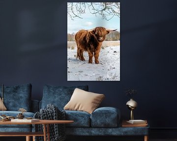 Schotse hooglander koe in de sneeuw vertikaal van KB Design & Photography (Karen Brouwer)