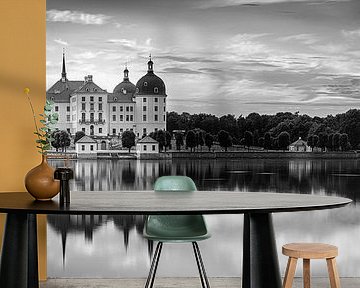 Panorama of Moritzburg Castle in black and white by Henk Meijer Photography