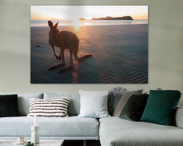Kangaroo on the beach by Martin Wasilewski