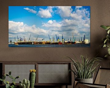 Panorama haven van Hamburg met kranen en droogdokken van Dieter Walther
