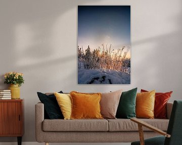 Besneeuwd landschap met zonneschijn en warme kleuren van Fotos by Jan Wehnert
