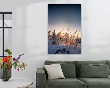Besneeuwd landschap met zonneschijn en warme kleuren van Fotos by Jan Wehnert