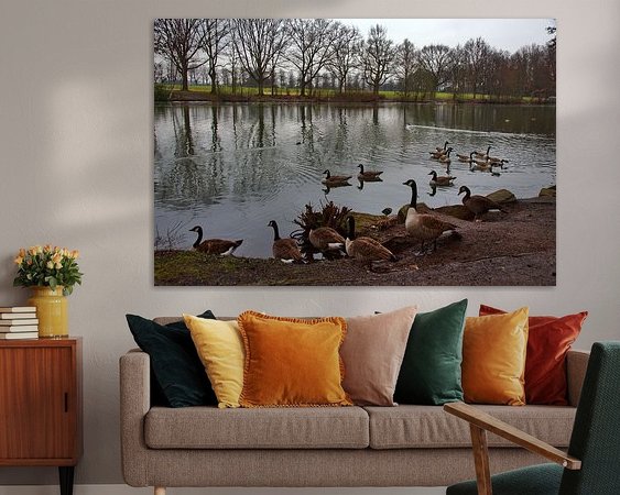 Aperçu de la chambre