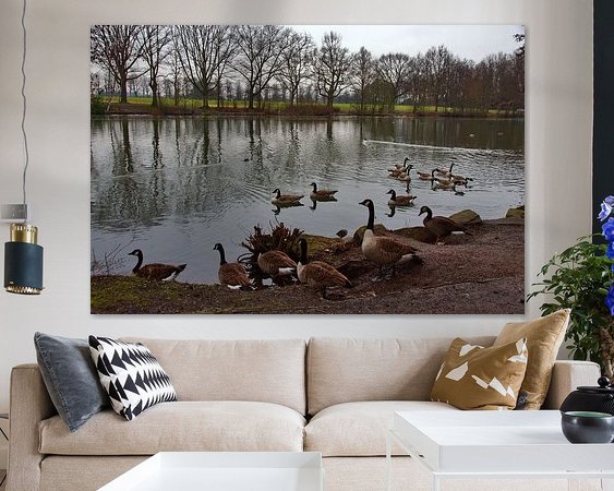 Aperçu de la chambre