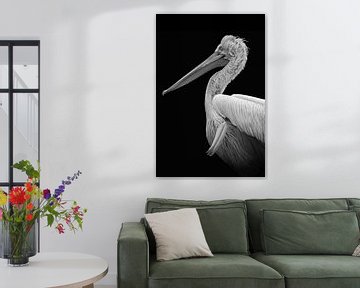 Portrait Pelikan in schwarz und weiß von Marjolein van Middelkoop