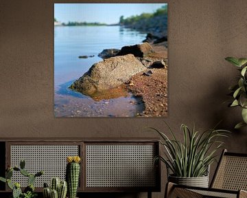 Bank of the river Elbe near Magdeburg by Heiko Kueverling