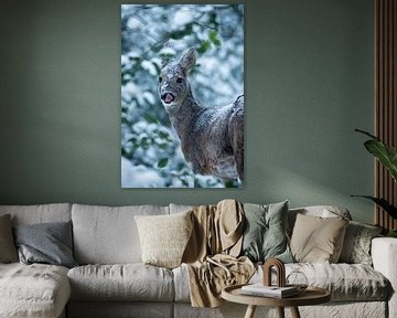 Eine unerwartete Erscheinung im verschneiten Wald von Jouke Wijnstra Fotografie